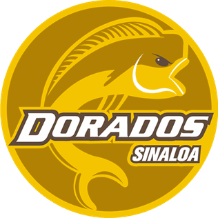 CSyD Dorados de Sinaloa